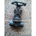 Forged Steel Through Way China Globe Valve (J6(1)1Y)